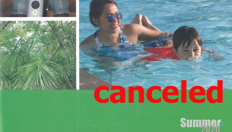 thumbnail image of summer brochure cover